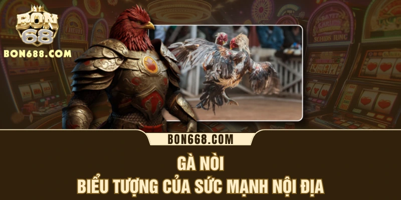 Gà nòi - Biểu tượng của sức mạnh nội địa