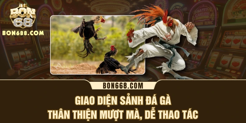 Giao diện sảnh đá gà thân thiện mượt mà, dễ thao tác