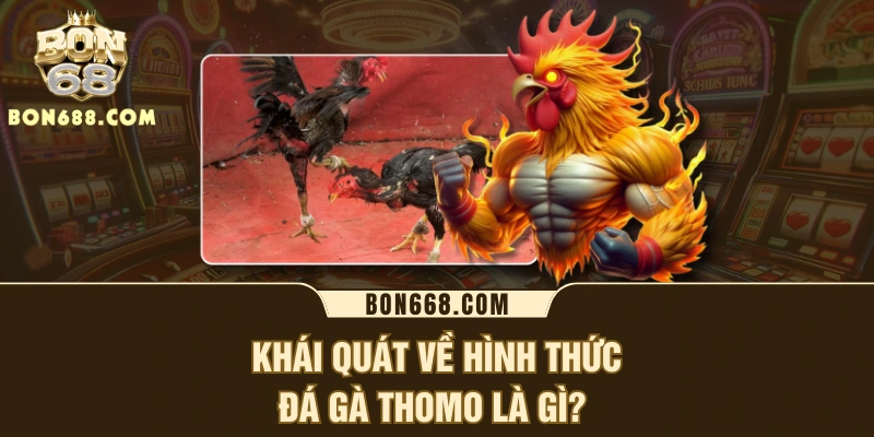 Khái quát về hình thức đá gà Thomo là gì? 