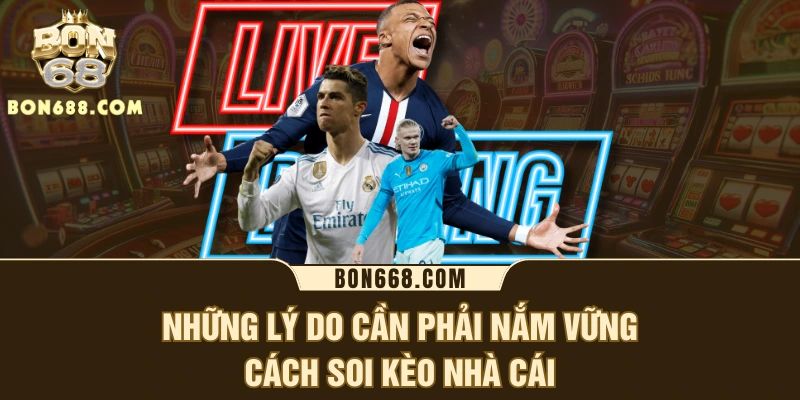 Những lý do cần phải nắm vững cách soi kèo nhà cái