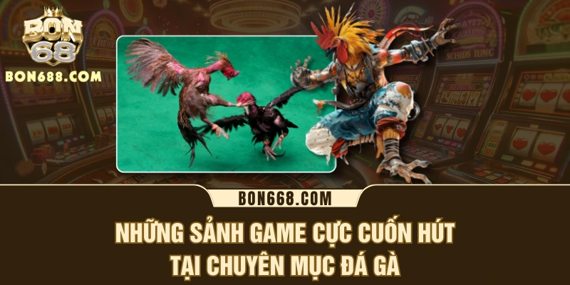 Những sảnh game cực cuốn hút tại chuyên mục đá gà