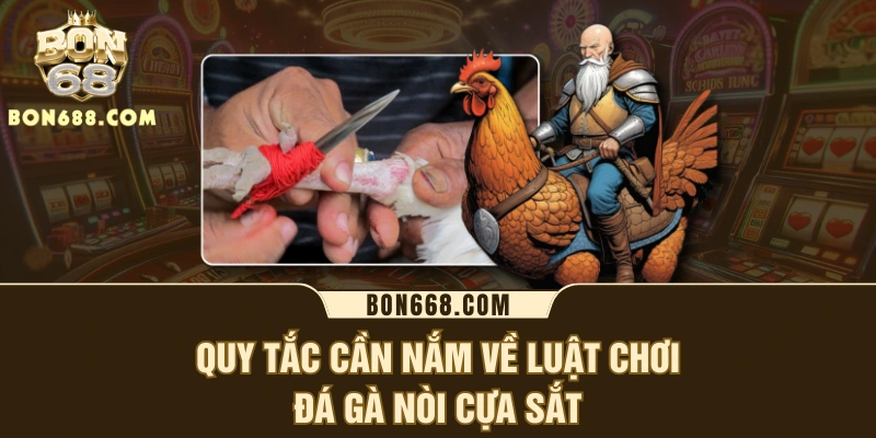 Quy tắc cần nắm về luật chơi đá gà nòi cựa sắt