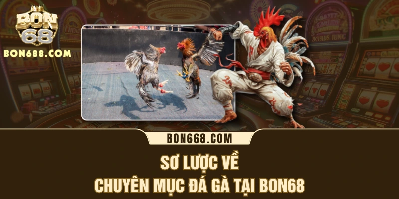 Sơ lược về chuyên mục đá gà tại BON68