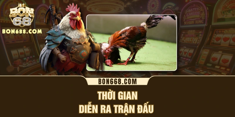 Thời gian diễn ra trận đấu 